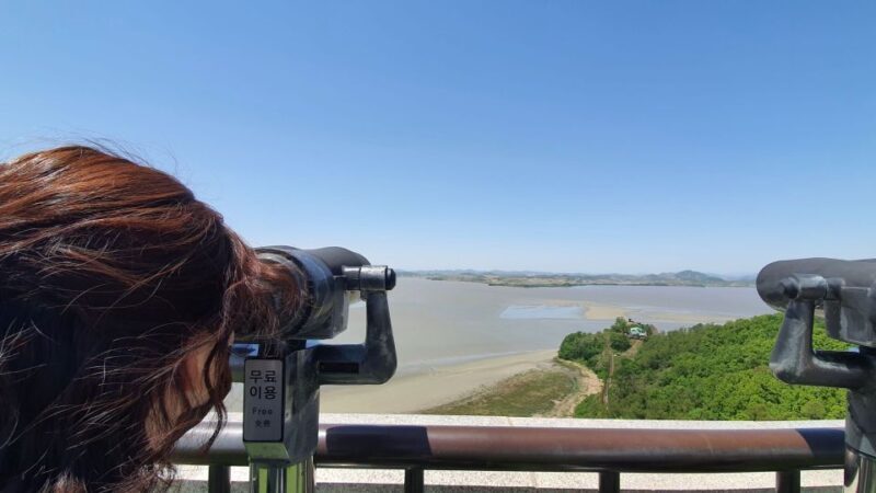 From Seoul: Private DMZ and Odusan Observatory Full-Day Tour - Final Thoughts: Who Will Enjoy This Tour Most?