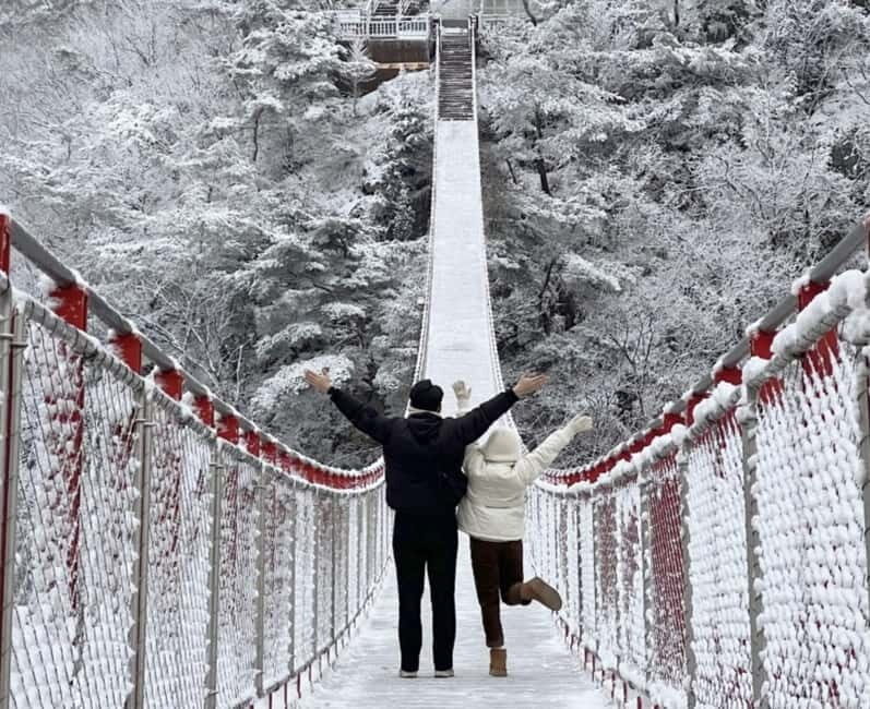 From Seoul: Romantic Winter Wonderland Tour - A Closer Look at the Romantic Winter Wonderland Tour