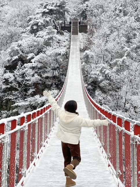 From Seoul: Romantic Winter Wonderland Tour - Crossing the Gamaksan Suspension Bridge: A Winter Scene from a Fairy Tale