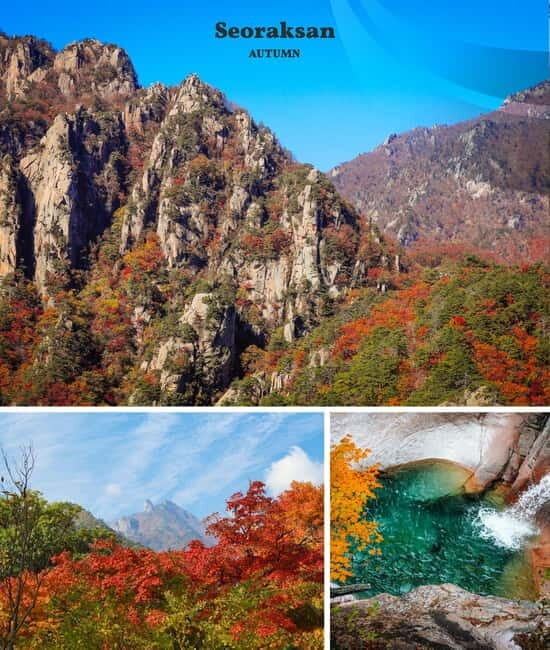 From Seoul: Seoraksan National Park and Nami Island Day Trip - Key Points