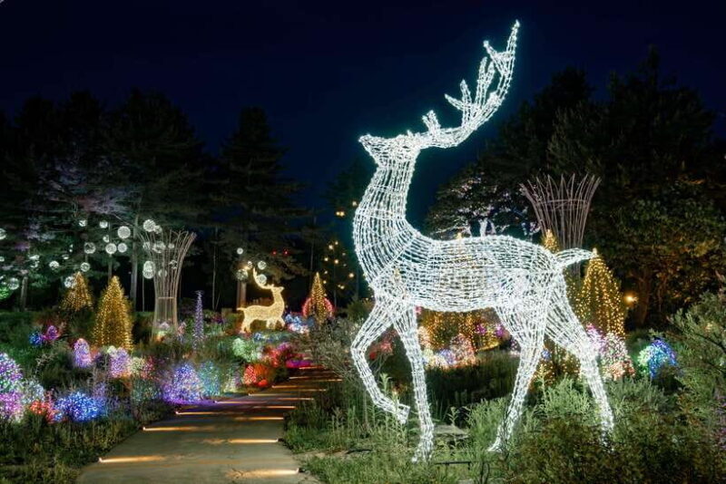 From Seoul: Seoraksan National Park and Nami Island Day Trip - FAQ