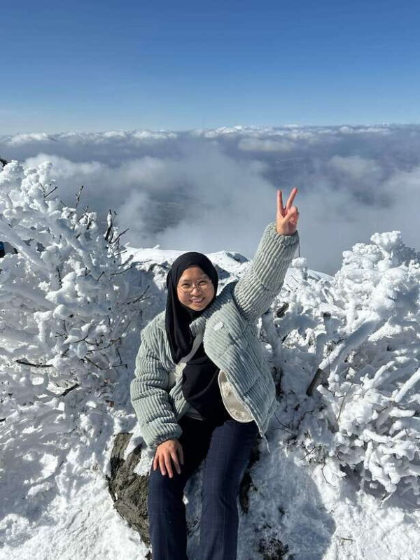 From Seoul: Snow-Capped Beauty of Deogyusan National Park - Why This Tour Offers Great Value