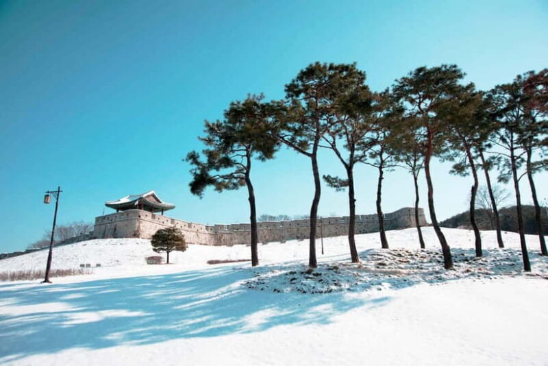From Seoul: Suwon Hwaseong and Deogyusan Winter Tour - A Deep Dive into the Experience
