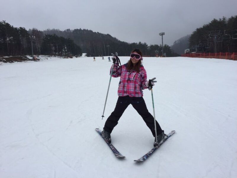 From Seoul: Yongpyong Ski Day Tour with Transportation - Who Should Consider This Tour?