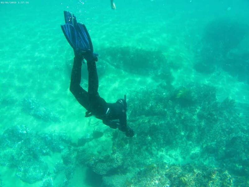 From Sesimbra: Sea Scooter Snorkeling boat Tour - Final Thoughts: Who Will Love This Tour?