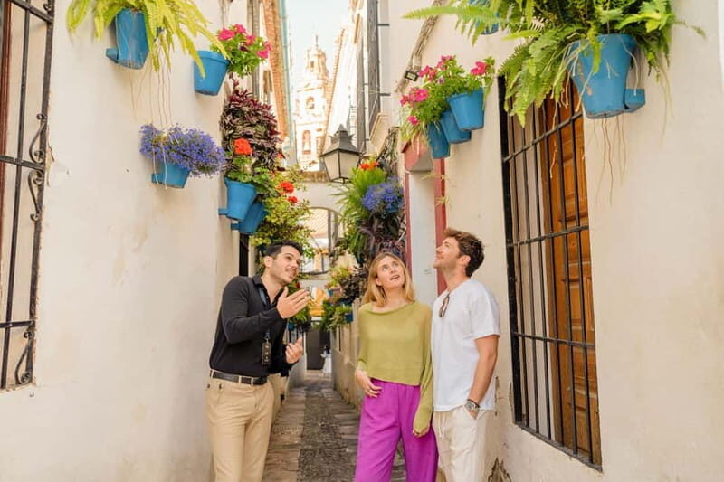 From Sevilla 3 Cities One Day:Córdoba, White Village & Ronda - Who Would This Tour Suit Best?