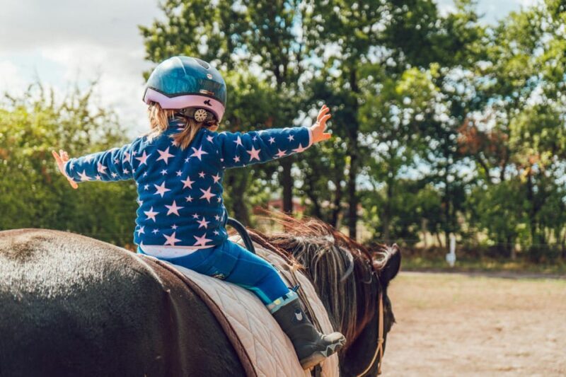 From Seville: Andalusian Horseback Ride - Final thoughts