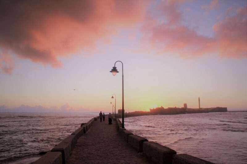 From Seville: Cadiz and Jerez de la Frontera Day Trip - Who Will Love This Tour?