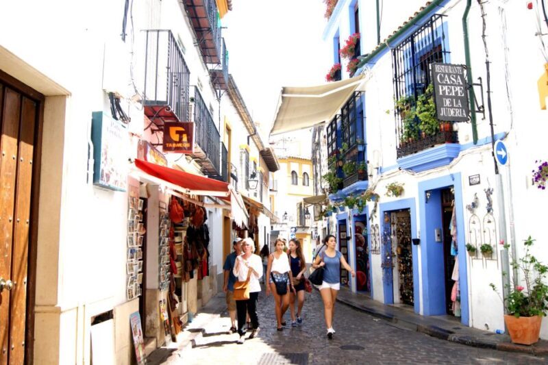 From Seville: Cordoba and its Mosque Guided Day Trip - Who Is This Tour Best Suited For?