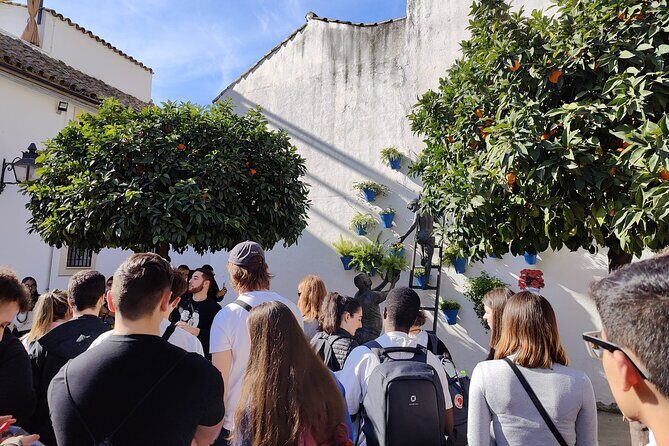 From Seville: Cordoba and Mosque-Cathedral Skip the Line - Who Will Love This Tour?