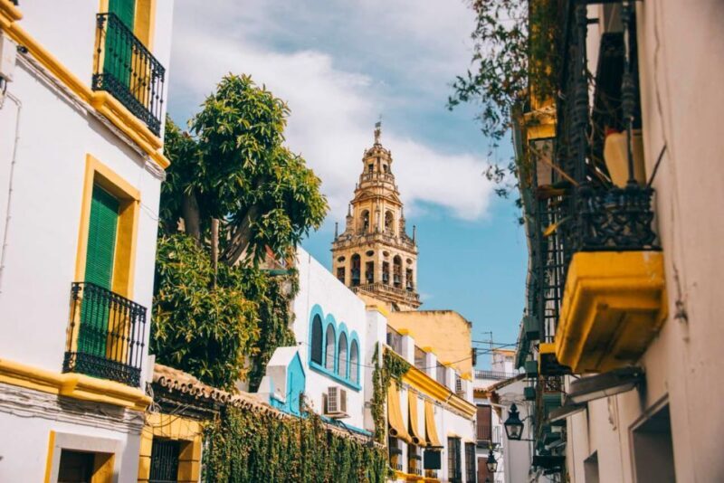 From Seville: Cordoba Full-Day Tour with Tickets Included - Who Should Consider This Tour?