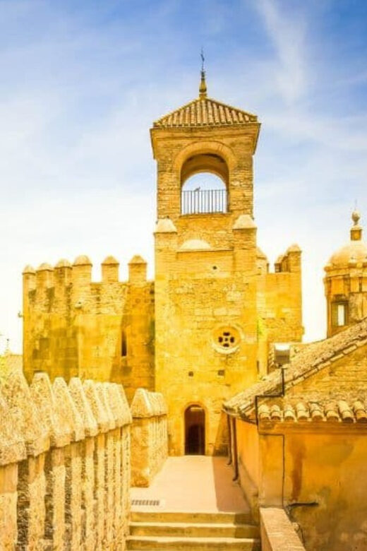 From Seville: Cordoba Private Day Trip - Detailed Review - In-Depth Look at Every Aspect