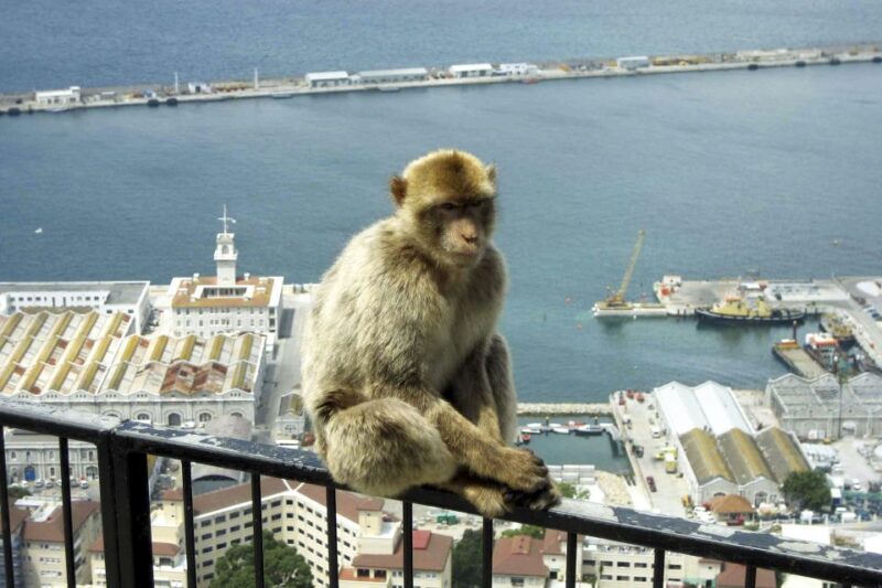 From Seville: Day Trip to Gibraltar - An In-Depth Look at the Gibraltar Day Trip from Seville