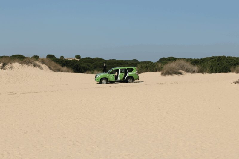 From Seville: Doñana, El Rocio, and Matalascañas Beach Tour - Key Points