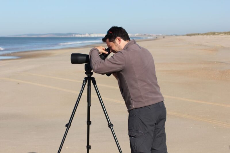From Seville: Doñana, El Rocio, and Matalascañas Beach Tour - Frequently Asked Questions