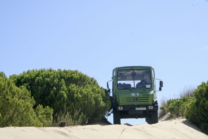 From Seville: Doñana Natural Park, El Rocio and Matalascañas - The Sum Up