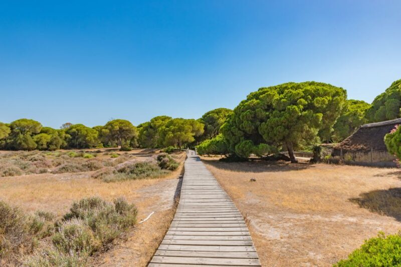 From Seville: Doñana Natural Park, El Rocio and Matalascañas - FAQ