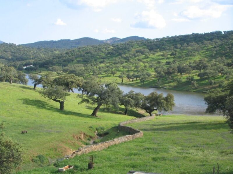 From Seville: Full-Day Aracena & Rio Tinto Mines Tour - Key Points