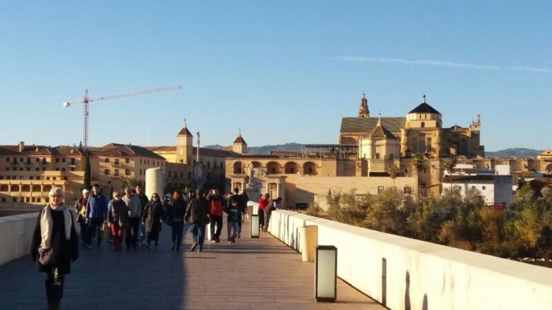 From Seville: Full-Day Essential Córdoba Tour - Who Should Consider This Tour?