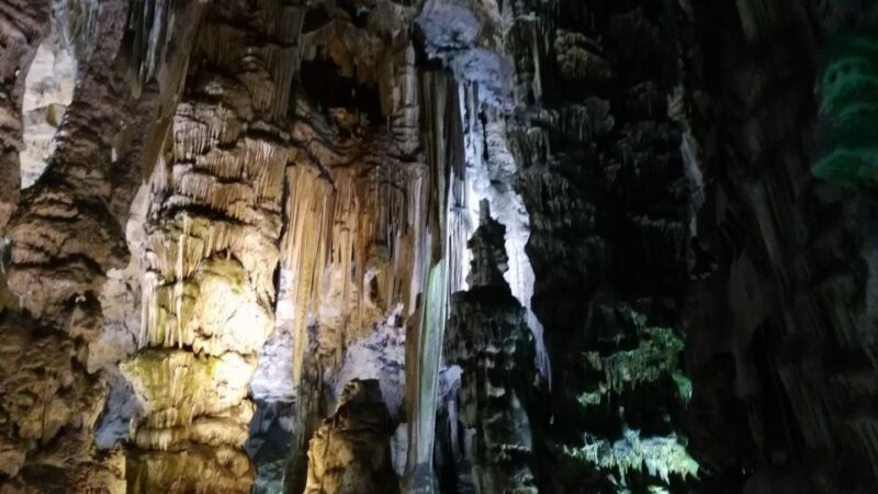 From Seville: Full-Day Private Tour of Gibraltar - Price and Value Analysis