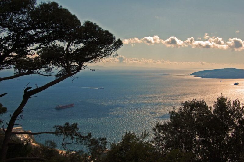 From Seville: Full-Day Trip to Gibraltar - The Sum Up