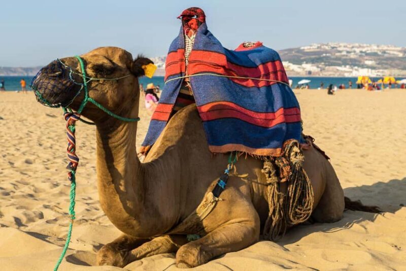 From Seville: Gibraltar and Tangier 2-Day Trip with Hotel - What the Tour Does Well