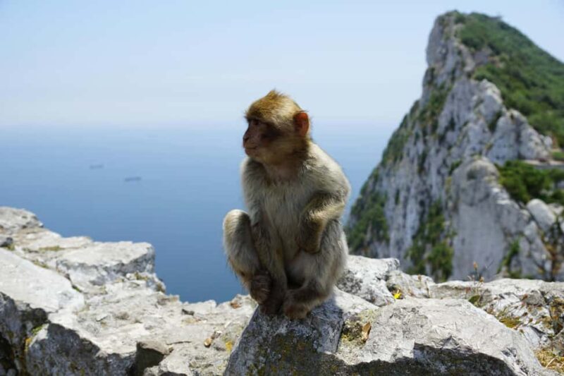 From Seville: Gibraltar and Tangier 2-Day Trip with Hotel - Frequently Asked Questions