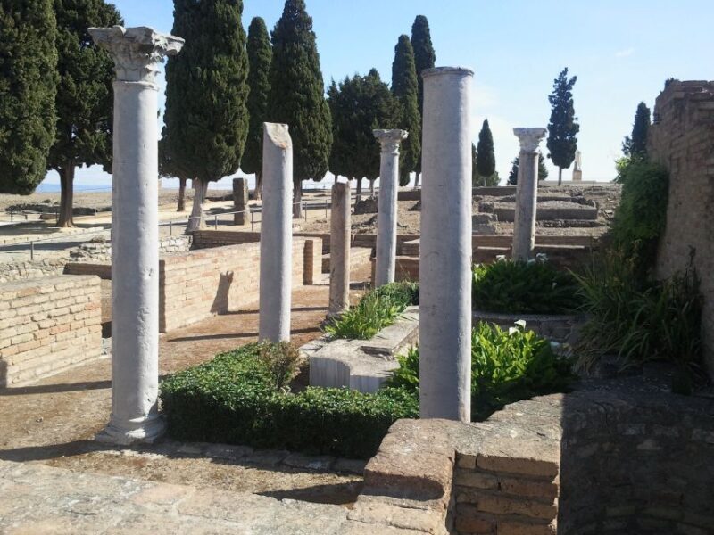 From Seville: Italica Roman City Tour - A Comprehensive Look at the Italica Roman City Tour