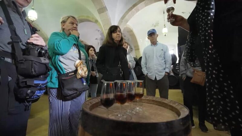 From Seville: Jerez, Cádiz and Andalusian Horses - Why This Tour Works for Travelers