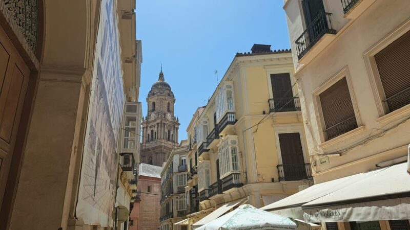 From Seville: Malaga Private Day Trip with Guide - Introduction: What Makes This Malaga Day Trip Stand Out?