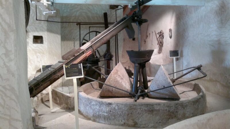 From Seville: Olive Oil Farm Tour - The Sum Up