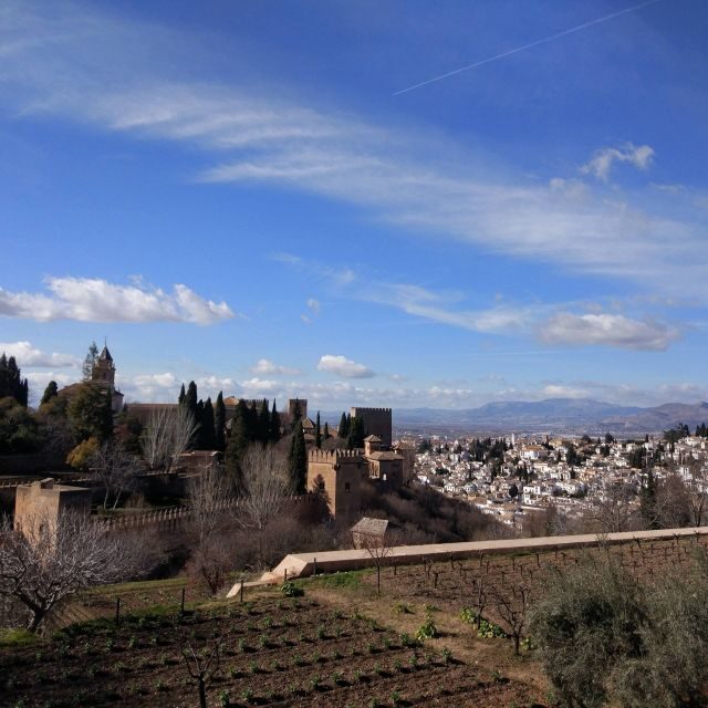 From Seville: Private Day Trip to Ronda and Granada - FAQs