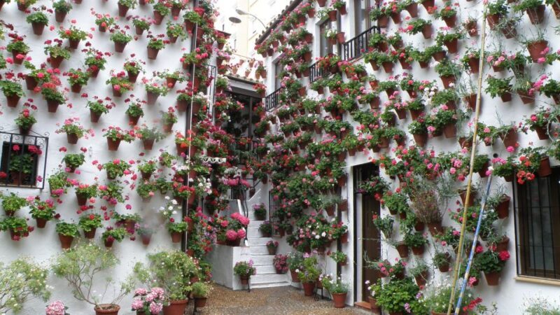 From Seville: Private or Group Full-Day Cordoba Tour - FAQ