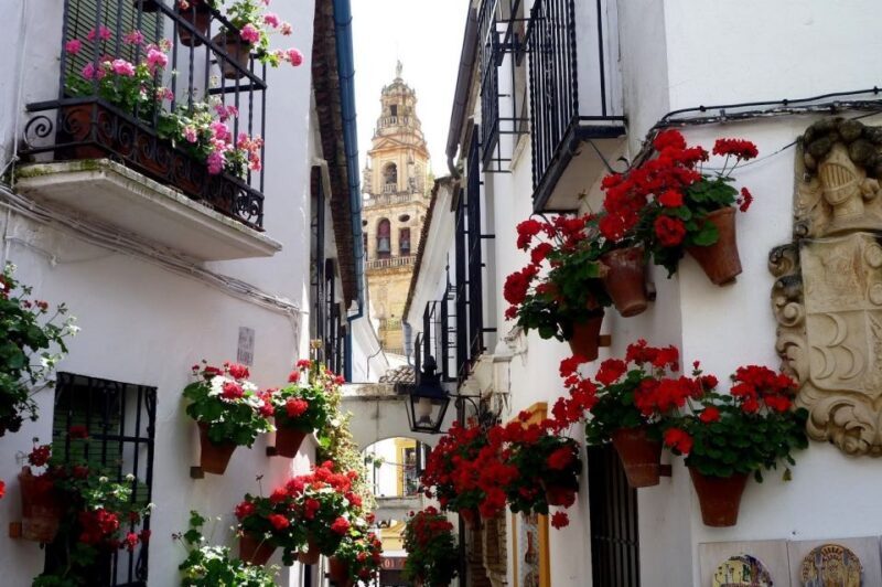 From Seville: Private Transfer to Granada and Córdoba Tour - Exploring the Córdoba Stop: A City of Contrasts and Charm