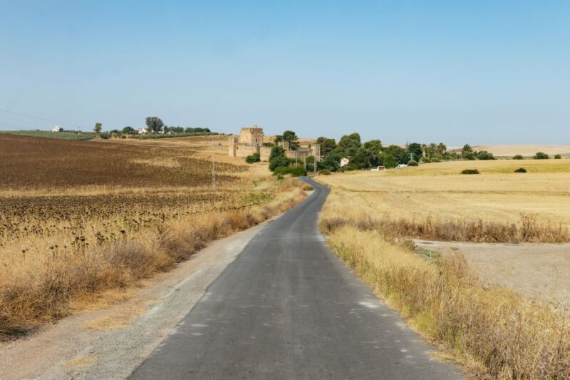 From Seville: Pueblos Blancos and Ronda Full-Day Trip - FAQ