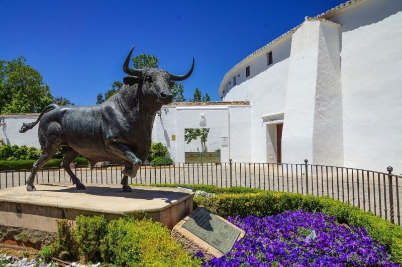 From Seville: Ronda and Setenil de Las Bodegas Private Tour - A Detailed Look at the Tour Experience
