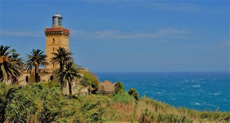 From Seville: Tangier Day Trip with Local Guide and Lunch - Exploring the Details of the Seville to Tangier Tour