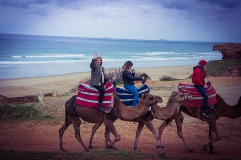 From Seville: Tangier Day Trip with Local Guide and Lunch - Who Is This Tour Best For?