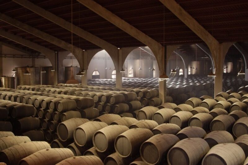 From Seville: Tour of Jerez with Horse Show & Wine Tasting - Final Thoughts