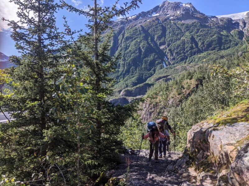 From Seward: 6-hour Wilderness Hiking Tour - Wildlife and Nature: What You Might See