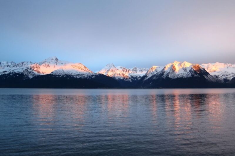 From Seward: Half-Day Resurrection Bay Wildlife Cruise Tour - What to Expect on the Cruise