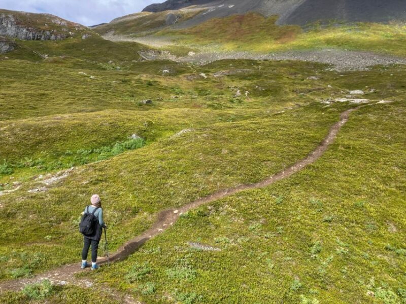 From Seward: Harding Icefield Trail Hiking Tour - From Seward: Harding Icefield Trail Hiking Tour — An Authentic Alaska Wilderness Experience