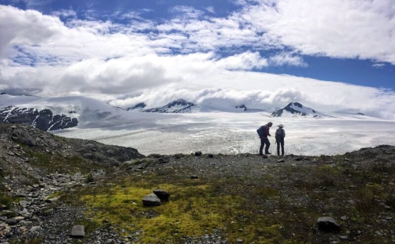 From Seward: Harding Icefield Trail Hiking Tour - The Sum Up