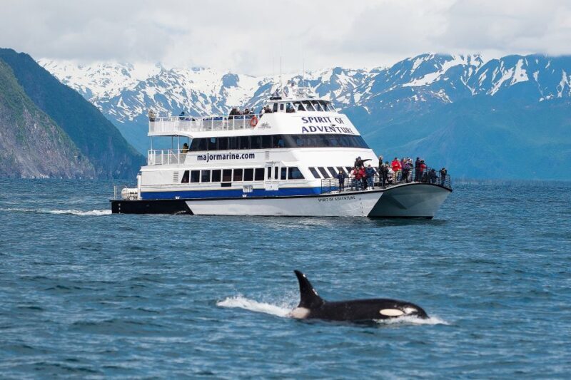From Seward: Kenai Fjords National Park Cruise with Lunch - What Sets This Tour Apart?