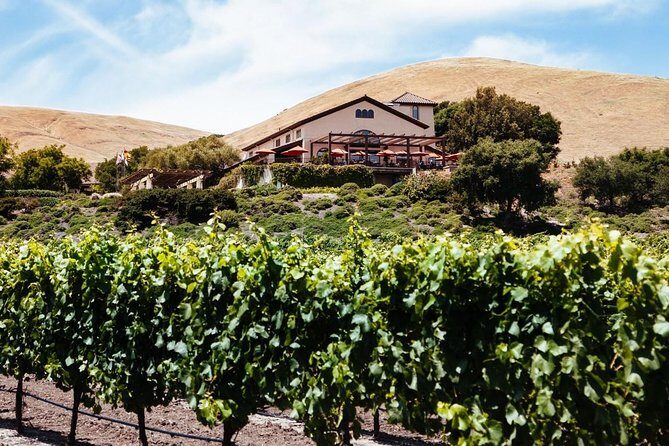 From SF : -8hr- Private Wine Tour & Custom Concierge.XL SUV - An In-Depth Look at the Napa & Sonoma Private Wine Tour