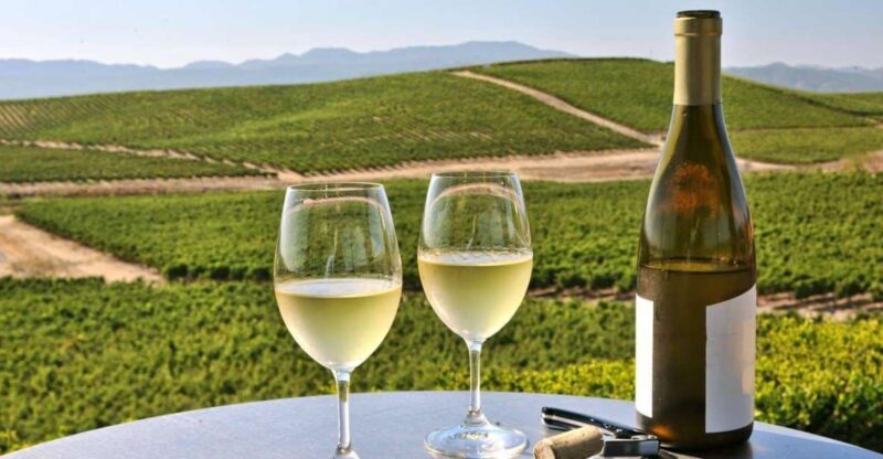 From SFO - Enchanted Napa & Sonoma Wine Tour in SUV - The Fine Details: Transportation, Group Size, and Timing