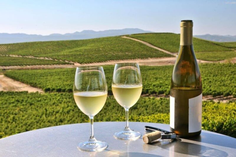 From SFO - Enchanted Napa & Sonoma Wine Tour in SUV - Who Should Consider This Tour?
