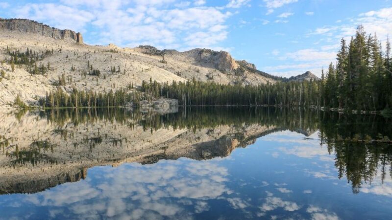 From SFO-Yosemite National Park-Enchanting Full Day Tour - A Closer Look at the Yosemite Day Trip from San Francisco