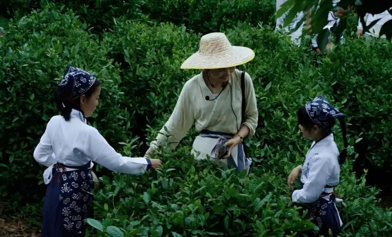 From Shanghai: 7-Day Tour to Huangshan, Hangzhou & Wuzhen - Day 2: Discovering Shanghai’s Heart