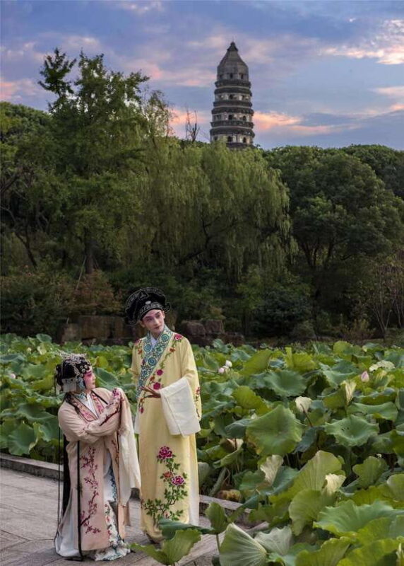 From Shanghai: 8-Day Private Tour to Hangzhou, Wuzhen, and - Wuzhen to Suzhou: Gardens and Canals